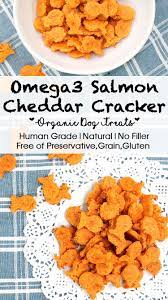 Omega3 Salmon Dog Treats Salmon Dog Treats Dog Food Recipes Natural Dog Treats