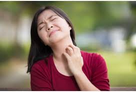 Les Remedes De Grand Mere Pour Soulager Les Piqures D Insectes Piqure Insecte Soulager Piqure Moustique Allergie Moustique