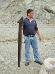 The san roque dam project, philippines (note: A Remarkable Visit To The San Roque Dam Ebon