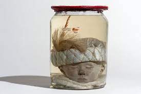 Monsters In The Museum The Awl