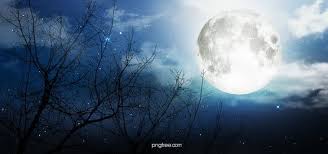 جميل البدر خلفية الرياح واقعية In 2020 Background Images Branch Vector Background