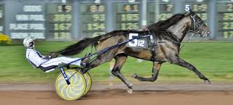 Greenshoe trots to 1:49.8 Bluegrass Stakes victory
