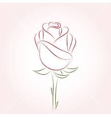 Rose Vector Image On With Images Roses Drawing Outline Drawings Flower Outline Tattoo