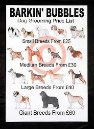 Thank you for considering laguna pet spa. Dog Grooming Price Lists X 2 Personalised Stationery By Groomergraphix Dog Grooming Price List Dog Grooming Dog Grooming Salons