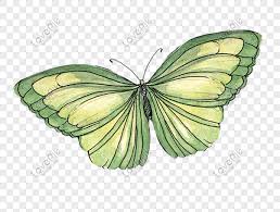 Bunga rama rama spring bunga kartun rama rama vektor bahan latar belakang. Bahan Rama Rama Kartun Yang Ditarik Tangan Gambar Unduh Gratis Imej 610649992 Format Psd My Lovepik Com