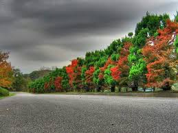 Background Image Landscape Cb