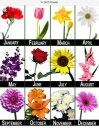 Birth Flowers For Each Month Pin By Amy Dolgner On 4 Moms Birth Month Flowers Birth Flowers Month Flowers