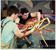 It has the largest leg span of any arthropod. 22 Giant Spider Crab Ideas Giant Spider Crab Spider