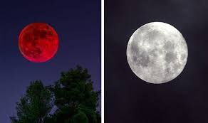 A full moon occurs in virgo when the sun in pisces forms an opposition to the moon in virgo. Full Moon Dates For 2021 Including January S Wolf Moon Dubai Khalifa
