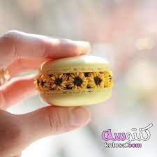 ماكرون فرنسي حلويات صور الماكرون الايطالي macaron kntosa com 05 19 156 pumpkin chiffon pie tastemade macarons