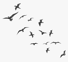 Bird Flight Swallow Flock Transparent Birds Flying Silhouette Hd Png Download Is Free Transparent Birds Flying Photography Bird Silhouette Art Birds Flying