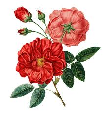 Check spelling or type a new query. Flowers On The Avenue