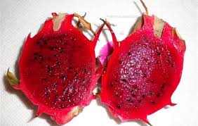 Dragon Fruit