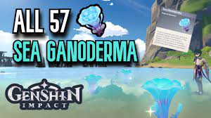 It has already had a new region called dragonspine introduced and now the company is gearing up for. All 57 Sea Ganoderma Locations Complete Guide Efficient Route Genshin Impact Golden Archipelago Youtube