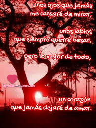 Frases De Amor Hermosas Para Enviar En Whatsapp Bonitasimagenes Net Frases Hermosas De Amor Canciones De Feliz Cumpleanos Imagenes Hermosas Para Whatsapp