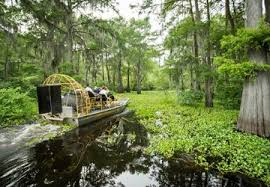 Louisiana (bundesstaat, usa) mit bevölkerungsstatistiken, grafiken, karte und lage. Louisiana Usa Geschichtstrachtig Traditionsreich Karibisch Europaisch