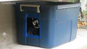 See all the insulated cat houses for outside for your cat. Making Another Diy Feral Cat Shelter For Outdoor Cats Youtube