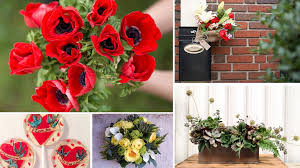 Showing 1 thru 38 of 38 valentine's day plants items. Ask The Experts This Valentine S Day Send The Best Flowers And Candy Ever The Horticult