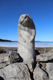 In 2000 and 2002, it was named the world's greatest event by www.festivals.com in seattle wa. Wiarton Willie Wikipedia