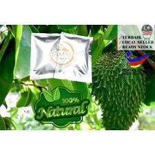Teh daun durian belanda juga telah lama dijadikan bahan untuk mengurangkan stres dan kebimbangan. Soursop Leaves Natural Tea Bag Teh Daun Durian Belanda 25 Tea Bags 3g çº¢æ¯›