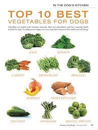 Top 10 Best Vegetables For My Dog Healthy Dog Food Recipes Dog Vegetables Healthy Dogs