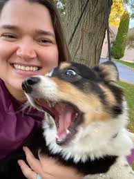 Will my corgi grow out of being a t-rex?