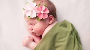 We did not find results for: 65 Ide Nama Bayi Perempuan Islami Bermakna Bunga