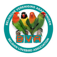 Our selective breeding program guarantees high quality birds. Bva International