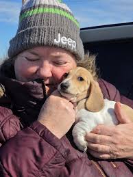 Profile for Madra's Dashing Doxies