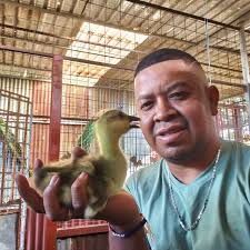 Busco una pareja de carracos, cerca de Nicoya