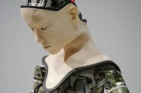 PhD defence Cindy Friedman: The Ethical Dilemmas of Treating Humanoid  Robots Like Humans