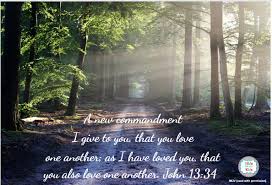 Love One Another Scenery Love One Another Scripture Nature