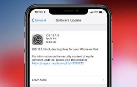 Apple Seeds Ios 12 1 3 For Iphone Ipad Ipod Touch