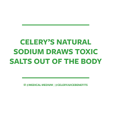 Much more data is needed to determine whether the androsterone in celery really does increase sexual attraction, according to healthline. Celery S Natural Sodium Draws Toxic Salts Out Of The Body