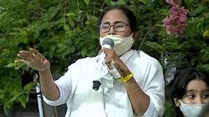 The bengal chief minister trailed suvendu adhikari in the early rounds of counting, which dimmed her party's euphoria at a spectacular election victory in bengal. Yjmrhyie17uhjm