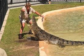 Stephen robert irwin was born on february 22, 1962, in upper ferntree gully, victoria. Wer Ist Eigentlich Steve Irwin