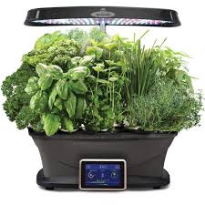 Aerogarden pruning and plant maintenance how to prune aerogarden herbs. Aerogarden Bounty With Gourmet Herb Seed Pod Kit 903110 1200 The Home Depot