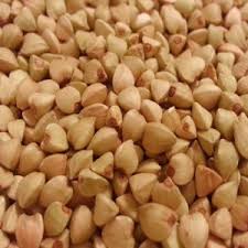Sarrasin Et Farine De Sarrasin Russe Sasablanca Maroc Depot Casablanca Premium Qualite 20t Russie Producteur Recherche De Fournisseur Espaceagro