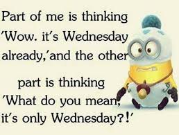 Here's our most hilarious wednesday memes collection that's guaranteed to give you the push you need. Love Beautiful Good Morning Images To Tackle Each Day Of The Week Happy Wednesday Quotes Morning Quotes Funny Funny Good Morning Memes