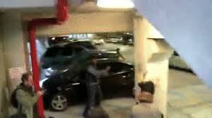 Almost hit by a car, taylor didn't stop and instead jumped on top of the car, swung onto a pipe along the ceiling, and ran outside. Taylor Momsen Escapes Paparazzi On Make A Gif