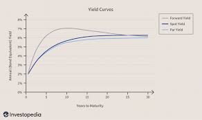 Par Yield Curve Definition