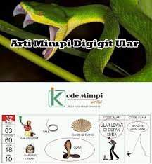 Mimpi Digigit Ular Di Buku Erek Erek Kode Alam 2d 3d 4d Kode Mimpi