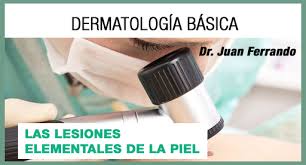 En este sentido, cuando decimos que un 1. Ii Las Lesiones Elementales De La Piel Salud Y Medicina