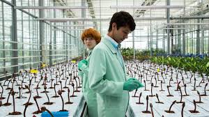 Little joe online free where to watch little joe little joe movie free online Watch Little Joe Prime Video