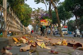 Massachusettss forests are covered by five major forest types. Hanoi Vietnam Feb 18 2010 Flower Basket On Bike Of Street Stock Photo Picture And Royalty Free Image Image 137102048