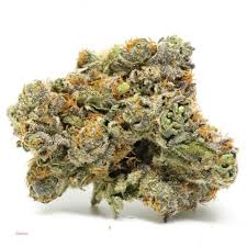As a strain that leans slightly indica, gelato 33 is almost a perfect hybrid (55% indica, 45% sativa). Gelato 33 Strain Marijuana Information Buy Gelato 33 Loud Pack