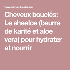 Cheveux Boucles Le Shealoe Beurre De Karite Et Aloe Vera Pour Hydrater Et Nourrir Cheveux Boucles Cheveux Soin Cheveux Crepus