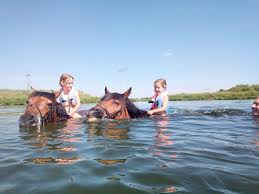 Image result for monika babi%u0161ov 