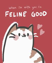 Blippo Com Kawaii Shop Cat Puns I Love Cats Cute Cats