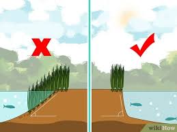 We did not find results for: 4 Ways To Kill Lake Weeds Wikihow